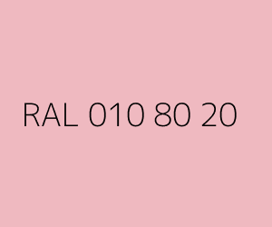 Renk RAL 010 80 20 