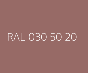 Renk RAL 030 50 20 