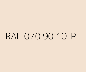 Renk RAL 070 90 10-P 