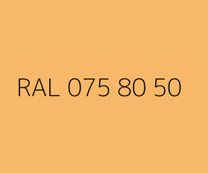 Renk RAL 075 80 50 