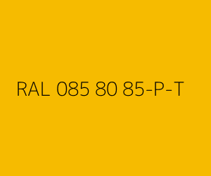 Renk RAL 085 80 85-P-T 