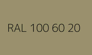 Renk RAL 100 60 20