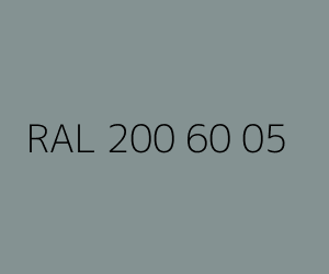 Renk RAL 200 60 05 