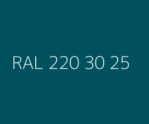 Renk RAL 220 30 25 