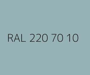 Renk RAL 220 70 10 