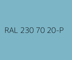 Renk RAL 230 70 20-P 