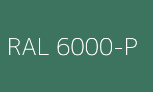 Renk RAL 6000-P