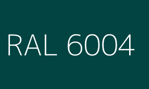 Renk RAL 6004