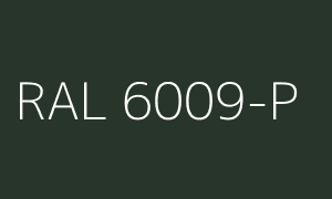 Renk RAL 6009-P