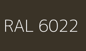 Renk RAL 6022
