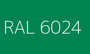 Renk RAL 6024