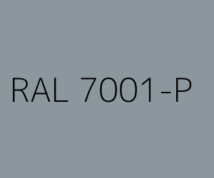 Renk RAL 7001-P SILVER GREY