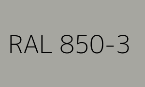 Renk RAL 850-3