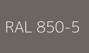 Renk RAL 850-5