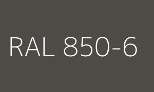 Renk RAL 850-6