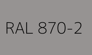 Renk RAL 870-2