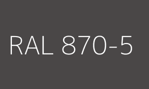 Renk RAL 870-5